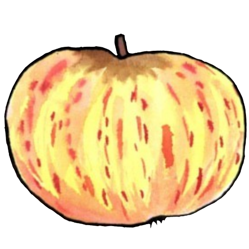 water colour apple, yellow with red